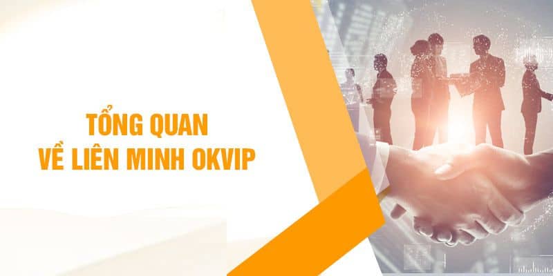 Một số thông tin người dùng tò mò về liên minh OKVIP