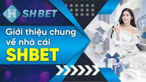 SHBET – Nhà Cái Giải Trí Uy Tín Số #1 Châu Á